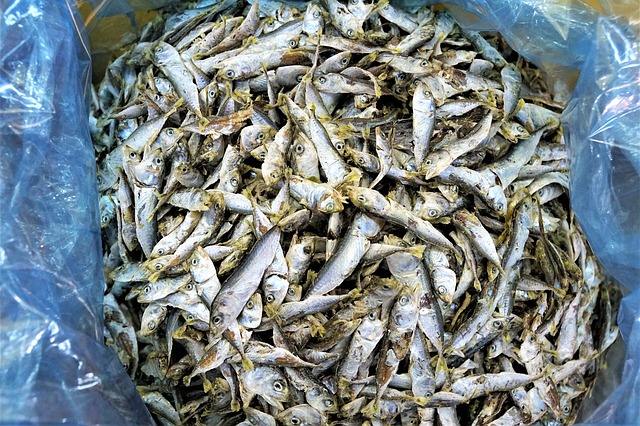 小魚乾含有鈣質和 膠原蛋白